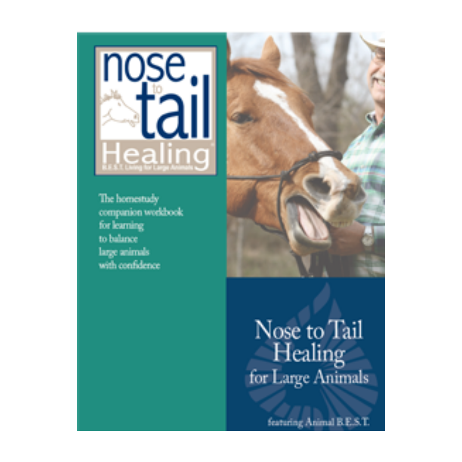 nose-to-tail-healing-homestudy-large-animals-morter-healthsystem